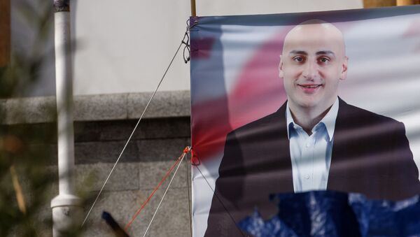Портрет Ники Мелия на транспаранте протестующих - Sputnik Грузия