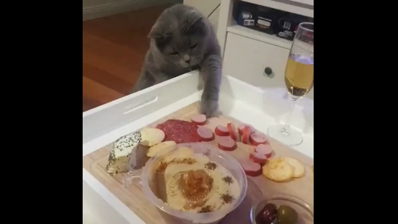 Барнаул жатақханасындағы орыс студенттерінің порносы