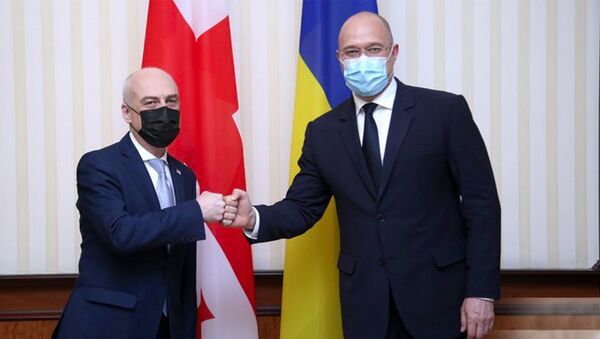 Давид Залкалиани и премьер-министр Украины Денис Шмыгаль - Sputnik Грузия