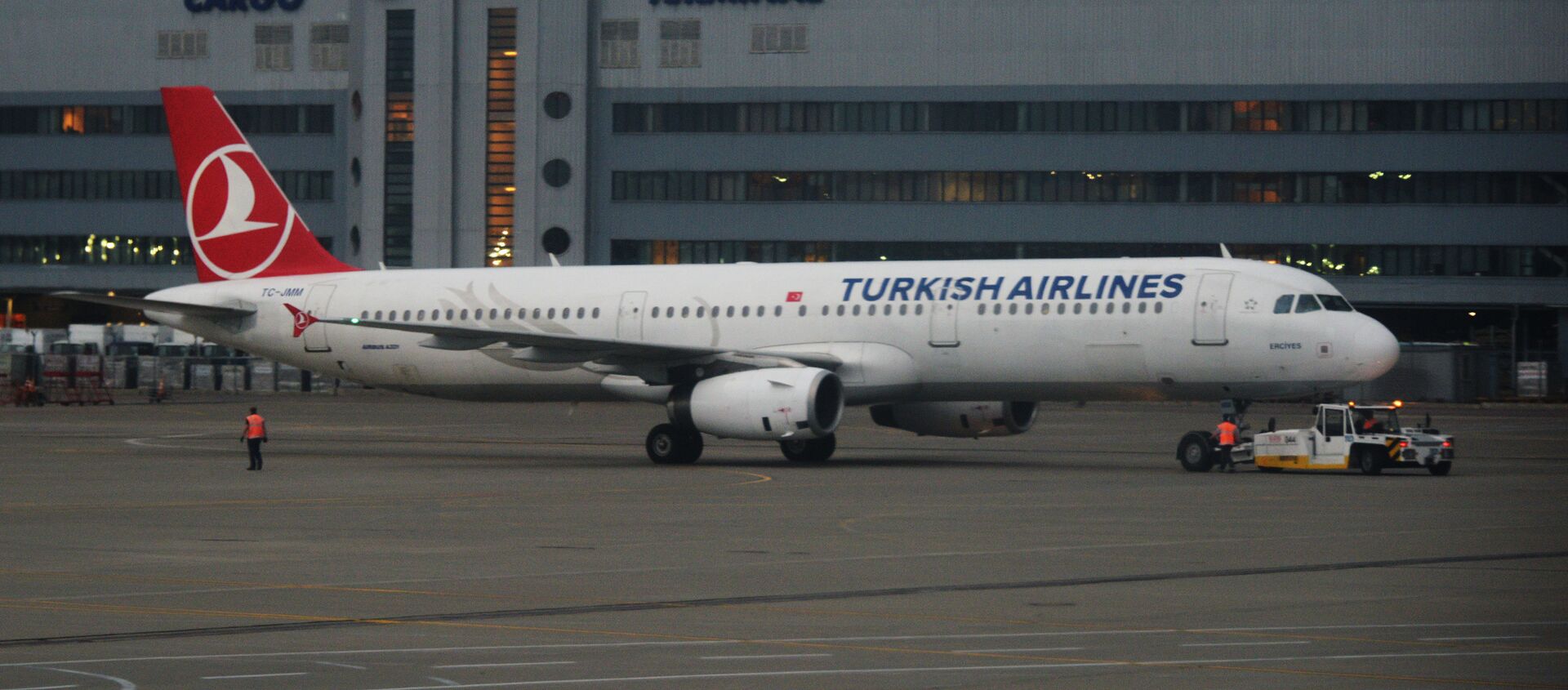 Самолет Airbus A321 авиакомпании Turkish Airlines в аэропорту Внуково в Москве. - Sputnik Грузия, 1920, 28.05.2021