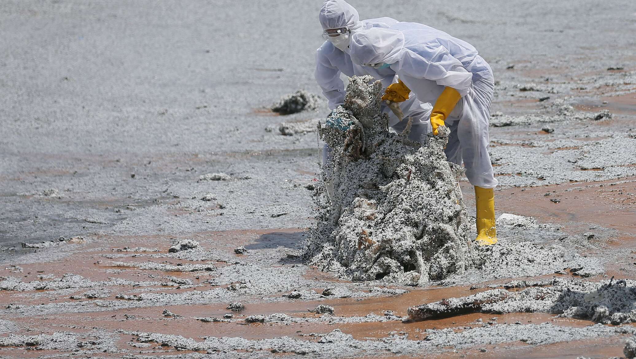 Факты о турции. Какие экологические катастрофы были в 2023 году. Экологическая катастрофа. Экологическая катастрофа. Причины экологических катастроф.