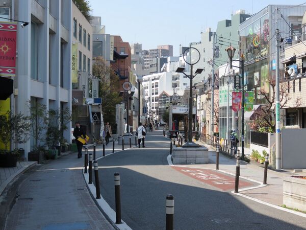 Кошачья улица в Токио в Японии - Sputnik Грузия