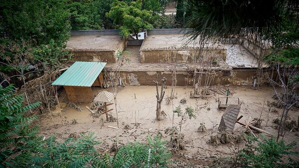 Разрушенная наводнением территория Тбилисского зоопарка. Из серии Тбилисское наводнение 13 июня - Sputnik Грузия