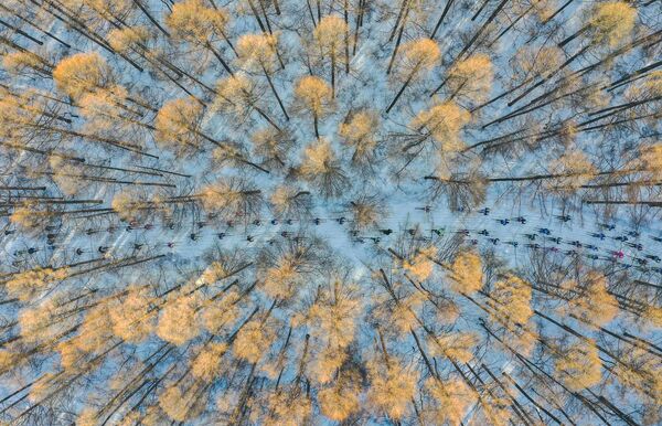 Работа китайского фотографа Чанг Сюй На лыжах в весну, вошедшая в шорт-лист конкурса имени Андрея Стенина в категории Моя Планета, одиночные фотографии

 - Sputnik Грузия