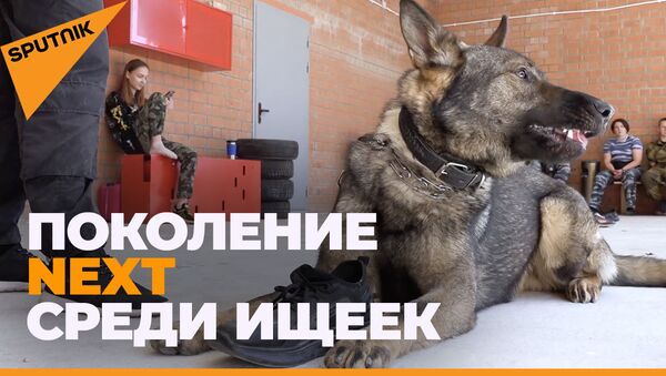 Как растят будущих следопытов: ясли для служебных собак - видео - Sputnik Грузия