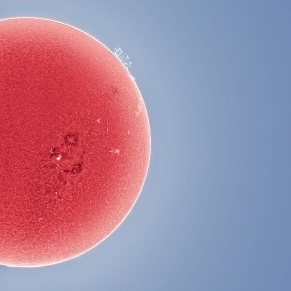 На этом изображении показано, как магнитное поле Солнца подтягивает части хромосферы после большой солнечной вспышки, а линии магнитного поля на кристально чистом дисплее вдоль лимба в водородно-альфа-свете

 - Sputnik Грузия