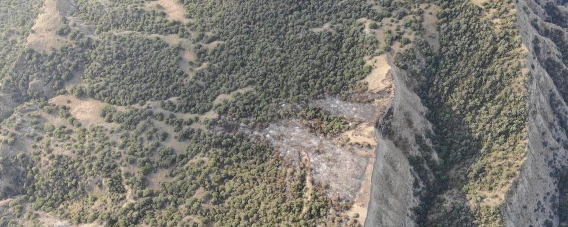 Последствия пожара в национальном парке Вашловани - Sputnik Грузия, 1920, 04.07.2021