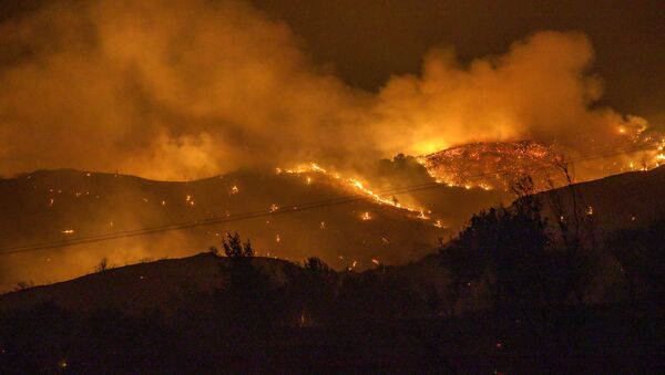 Крупный лесной пожар на Кипре - Sputnik Грузия