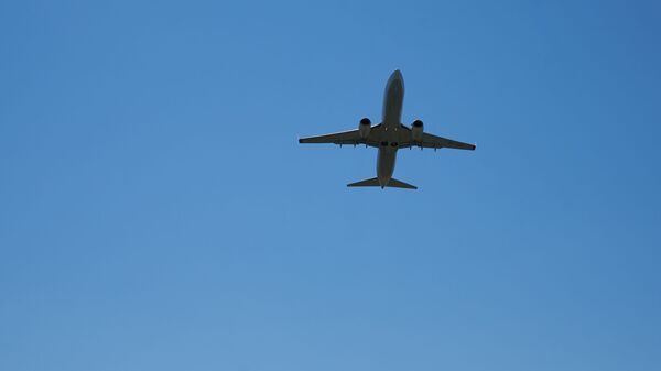 Пассажирский самолет в небе - Sputnik Грузия