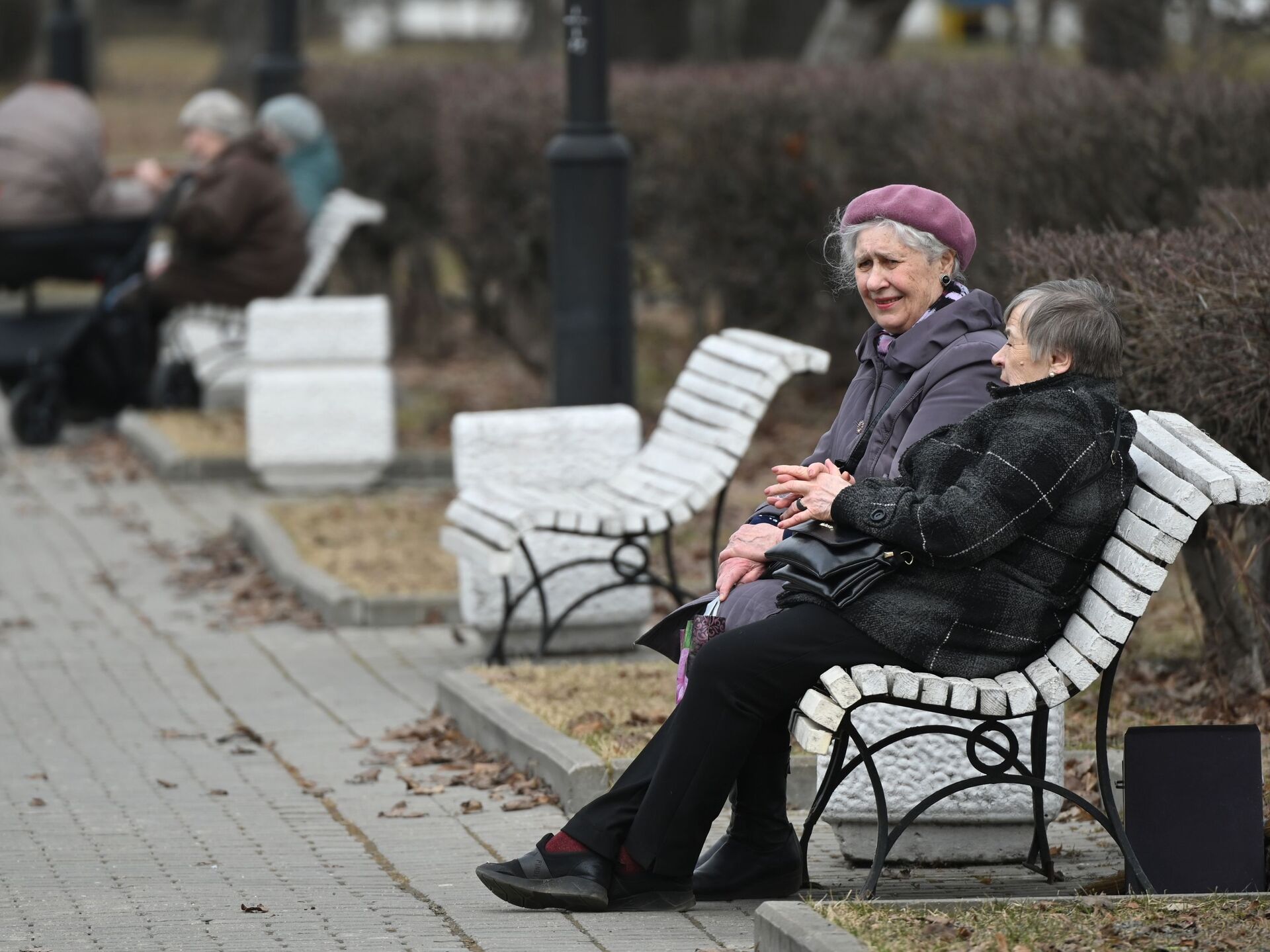 Пенсионер мо. Пенсионеры на скамейке. Пенсионеры в России.