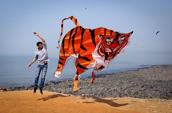 Участник запускает воздушного змея в форме тигра во время Международного фестиваля воздушных змеев в Мумбаи - Sputnik Грузия