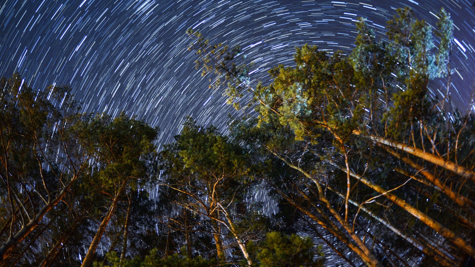 Звездное небо в районе села Камлак Республики Алтай - Sputnik Грузия, 1920, 07.01.2022