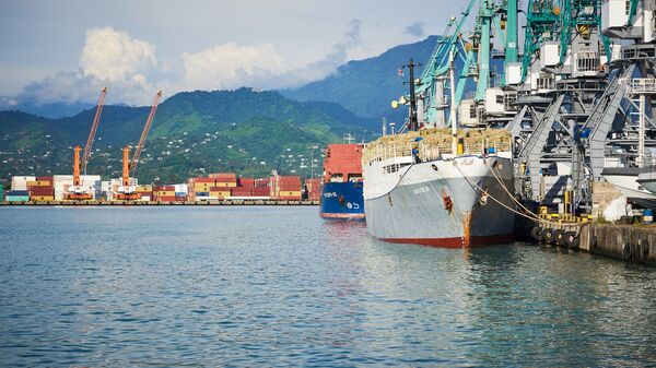 Батумский морской грузовой порт - Sputnik Грузия