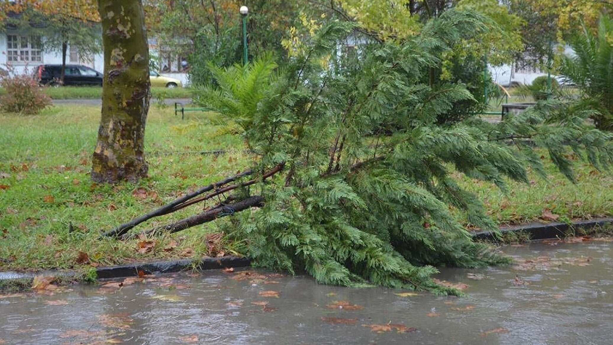 კახეთსა და შიდა ქართლში სტიქიის შედეგებს ებრძვიან