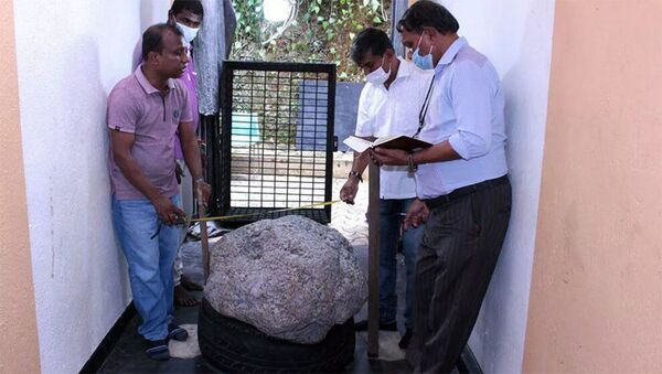 Самый большой в мире звездчатый сапфир весом 510 килограммов, найденный на Шри-Ланке - Sputnik Грузия