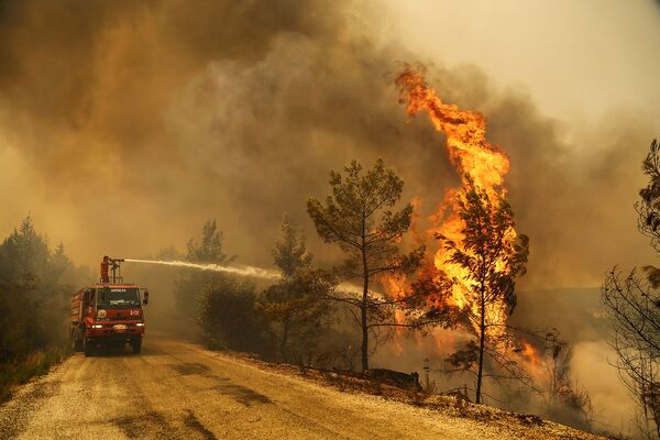 На ликвидацию огня брошены все силы. На фото - пожарные тушат огонь в лесах близ города Манавгат, к востоку от курортного города Анталия - Sputnik Грузия