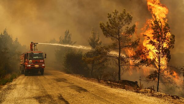 Пожарный тушит лесной пожар недалеко от города Манавгат, к востоку от курортного города Анталия (30 июля 2021).  Турция - Sputnik Грузия