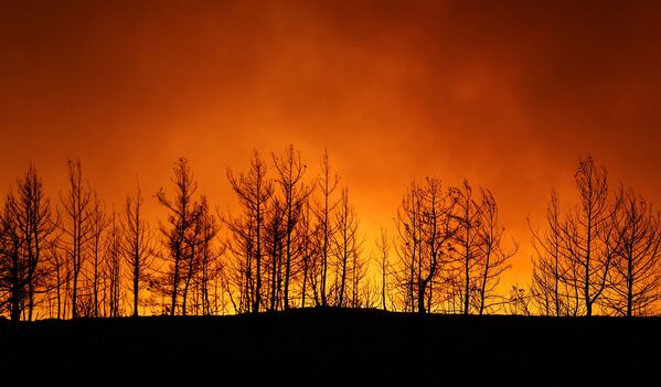 Президент Турции Реджеп Тайип Эрдоган объявил пострадавшие от лесных пожаров регионы страны зоной бедствия - Sputnik Грузия