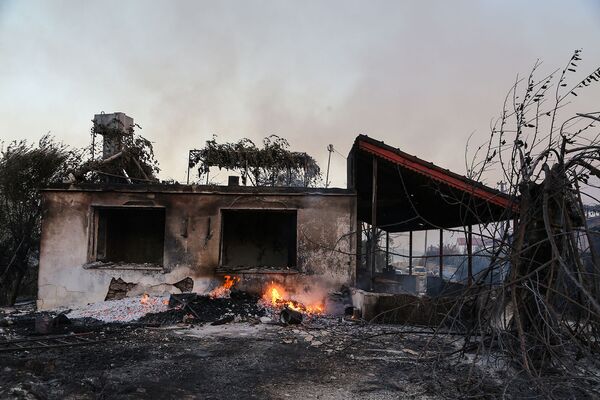 Сгоревший от лесных пожаров дом недалеко от города Манавгат - Sputnik Грузия