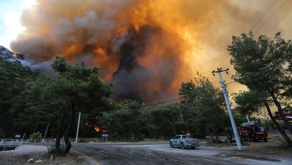 Лесной пожар недалеко от Мармариса (30 июля 2021).  Турция - Sputnik Грузия