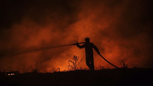 Пожарный ведет бой с пожаром в деревне Кирли недалеко от города Манавгат (30 июля 2021). Турция - Sputnik Грузия
