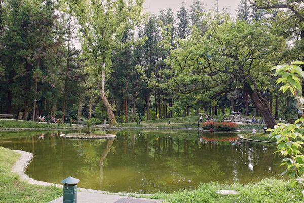 Ботанический сад в Зугдиди занимает территорию в 26 гектаров - Sputnik Грузия