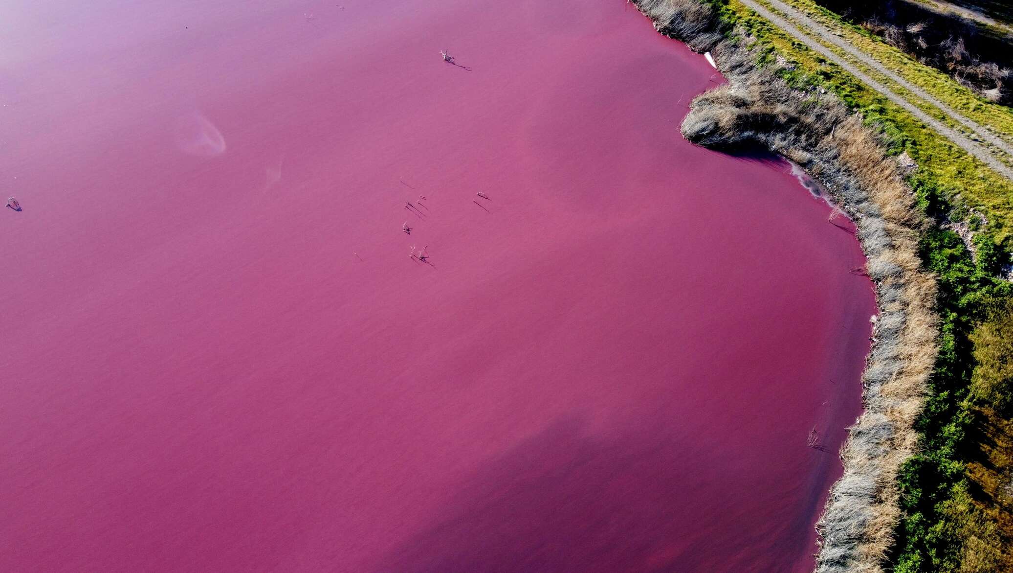 Фиолетовое озеро в Аргентине