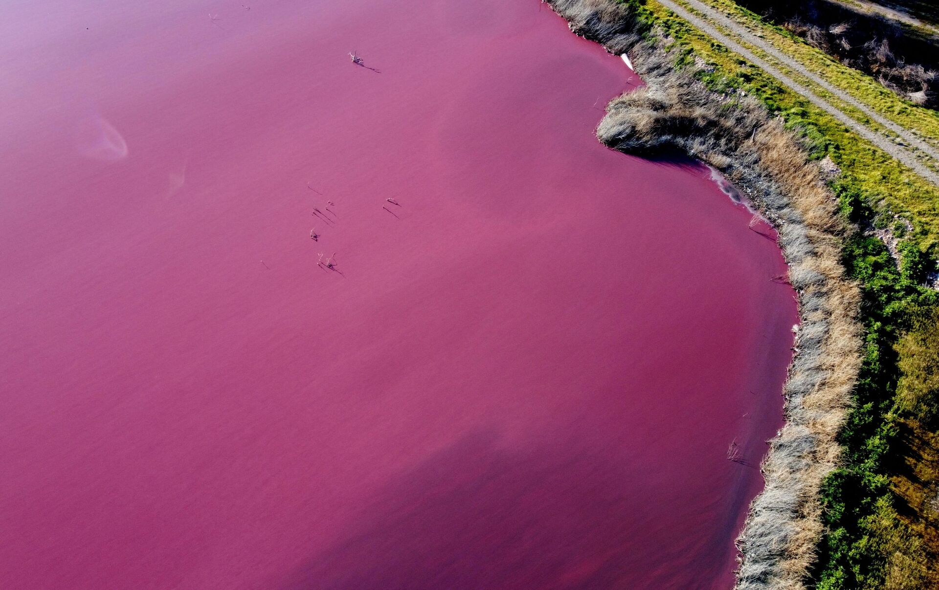 Лагуна в патагонской провинции Чубут, Аргентина, ставшая розовой из-за попа...