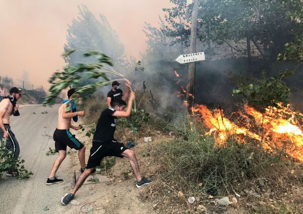 Люди пытаются потушить пожар в горной провинции Тизи-Узу, к востоку от Алжира - Sputnik Грузия