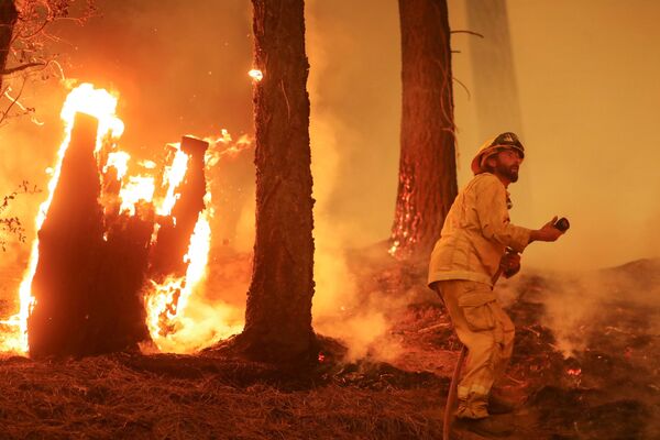 Пожарный на линии огня во время природного пожара Дикси возле Тейлорсвилля в Калифорнии - Sputnik Грузия