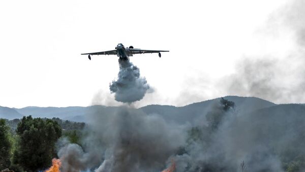 Тушение лесных пожаров в Турции - Sputnik Грузия