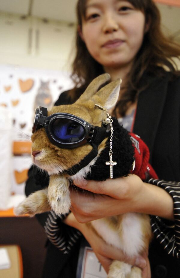 Хозяйка демонстрирует кролика в маскарадном костюме во время конкурса кроличьей моды в Rabbit Festa в городе Иокогама - Sputnik Грузия