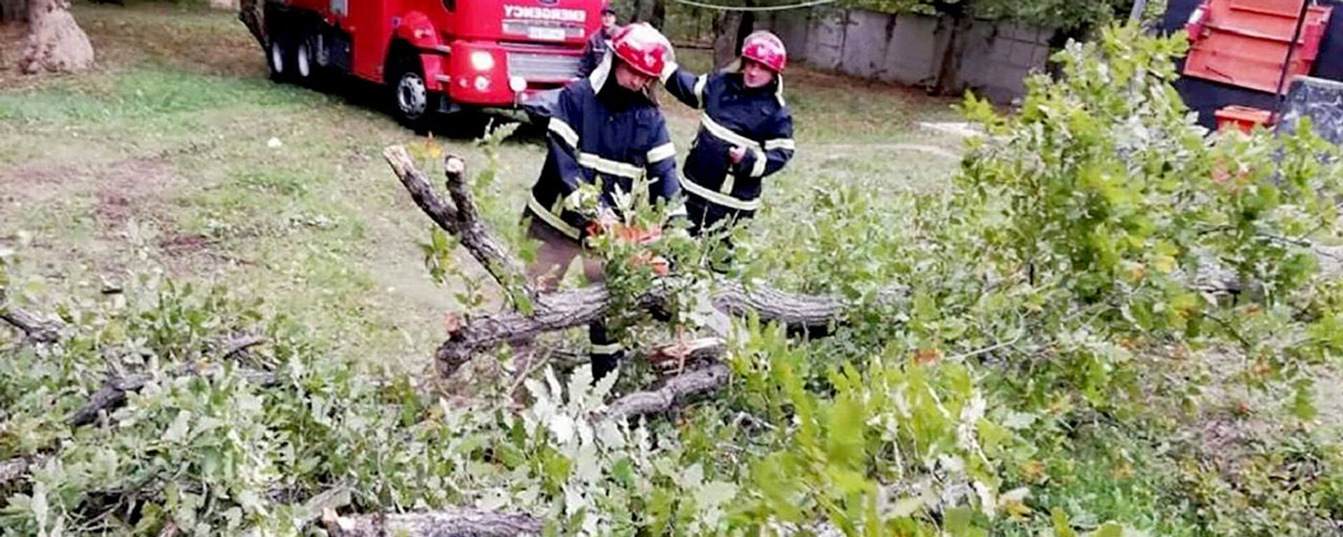 Спасатели убирают поваленные ветром деревья - Sputnik Грузия, 1920, 23.08.2021