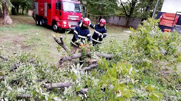 Спасатели убирают поваленные ветром деревья - Sputnik Грузия