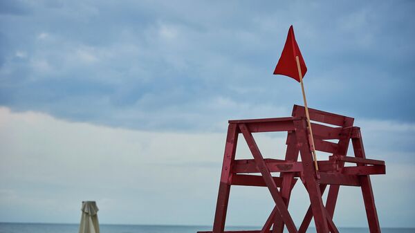 Красный флаг - купаться запрещено. Штормовое предупреждение на Черном море - Sputnik Грузия