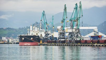 Батумский грузовой морской порт - портовые краны и судно на разгрузке