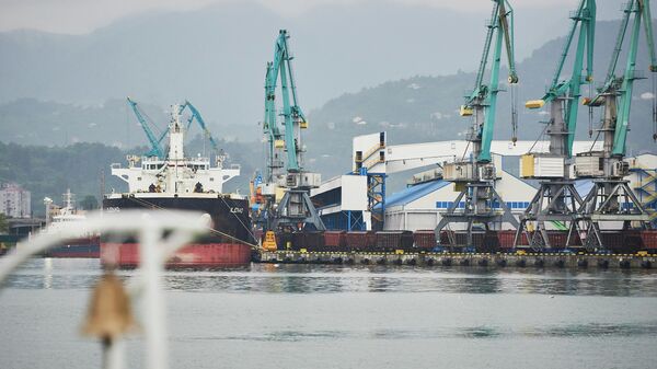 Батумский грузовой морской порт - грузовое судно и портовые краны - Sputnik Грузия