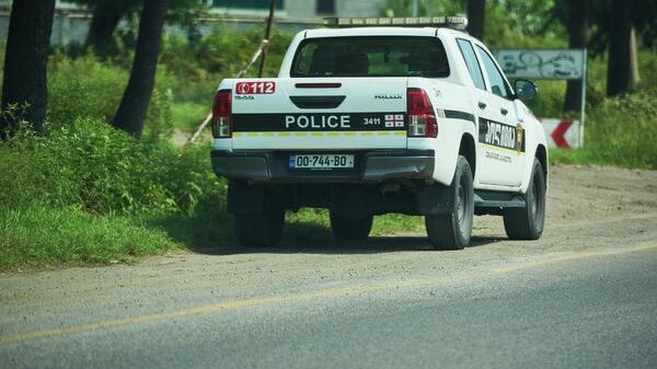 Региональная патрульная полиция - регион Гурия - Sputnik Грузия