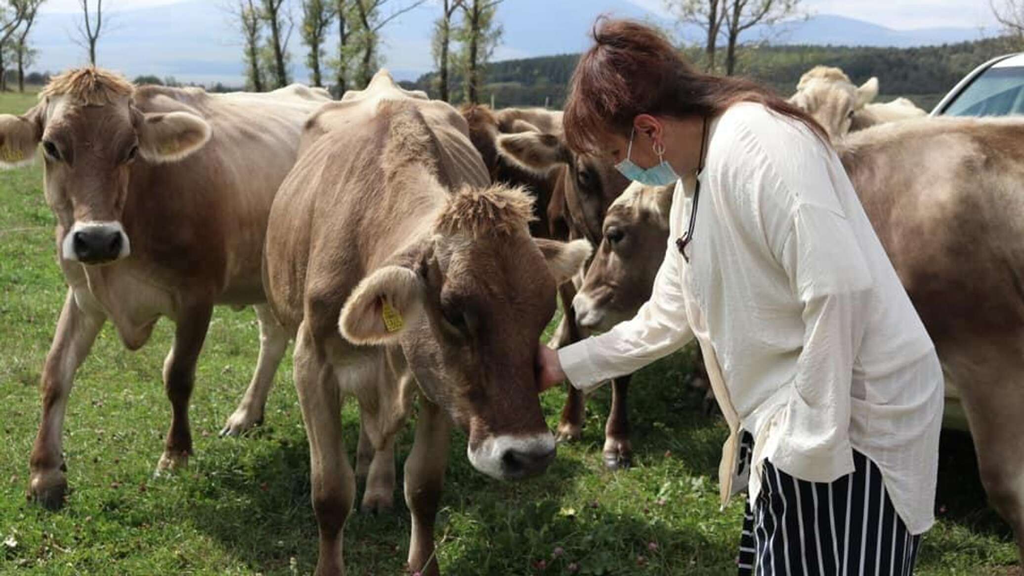 сельское хозяйство грузии