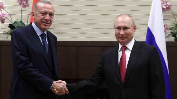 Президент РФ В. Путин провел переговоры с президентом Турции Р. Эрдоганом - Sputnik Грузия