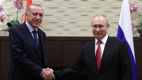 Президент РФ В. Путин провел переговоры с президентом Турции Р. Эрдоганом - Sputnik Грузия