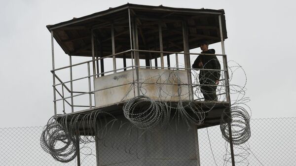 რუსთავის ციხე - Sputnik საქართველო
