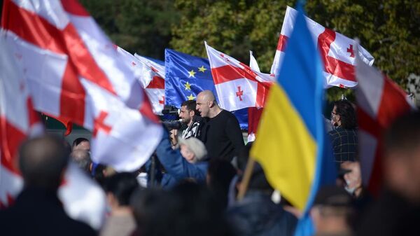 Сторонники Саакашвили разошлись, но озвучили планы на будущее 