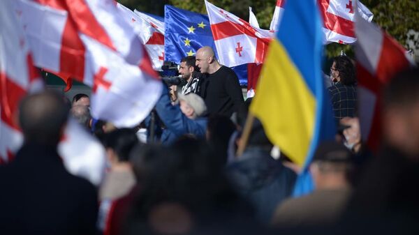 Ника Мелия. Акция протеста сторонников Саакашвили у Руставской тюрьмы 4 октября 2021 года - Sputnik Грузия