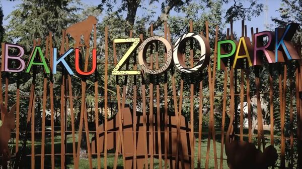 В гостях у животных: Бакинский зоопарк вновь принимает посетителей - Sputnik Грузия