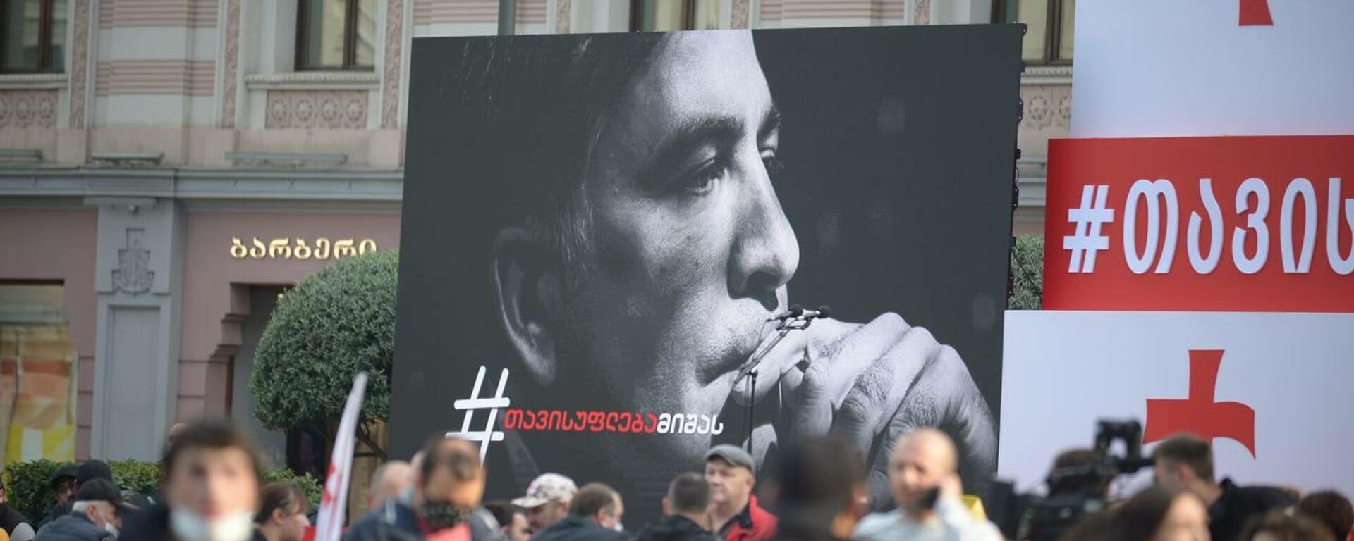 Свободу Саакашвили - акция протеста оппозиции и ЕНД на площади Свободы 14 октября - Sputnik Грузия, 1920, 09.11.2021