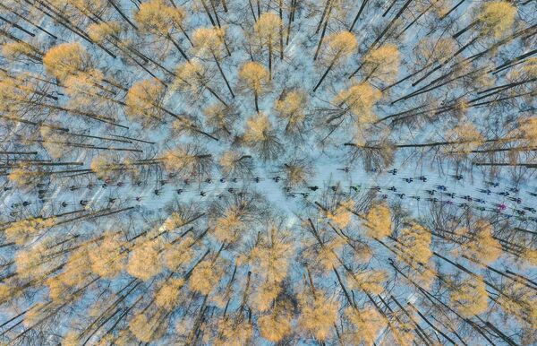 Снимок На лыжах в весну китайского фотографа Чан Сюй, победивший в категории Моя Планета, одиночные фотографии конкурса имени Стенина - Sputnik Грузия