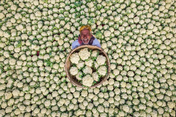 Снимок Рафида Ясара из Бангладеш Счастливый фермер, получивший особую отметку жюри в категории Моя Планета, одиночные фотографии конкурса имени Стенина - Sputnik Грузия