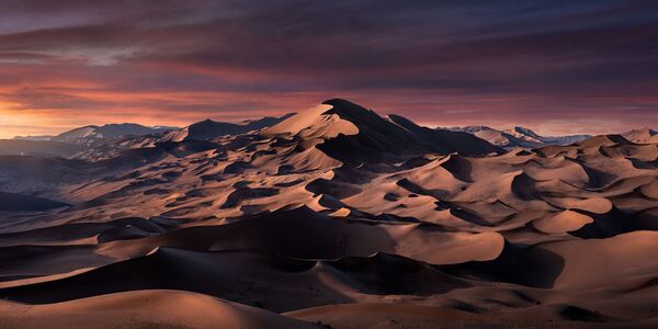 Снимок &quot;Сиреневая пустыня&quot; китайского фотографа Джиньи Он - Sputnik Грузия