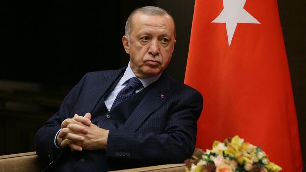  თურქეთის პრეზიდენტი რეჯებ თაიიფ ერდოღანი - Sputnik საქართველო